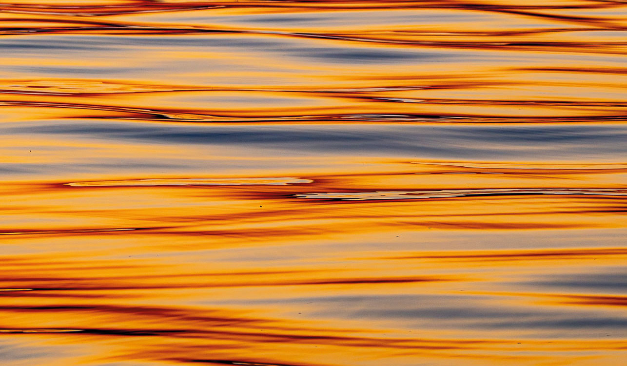 portfolio-fourth